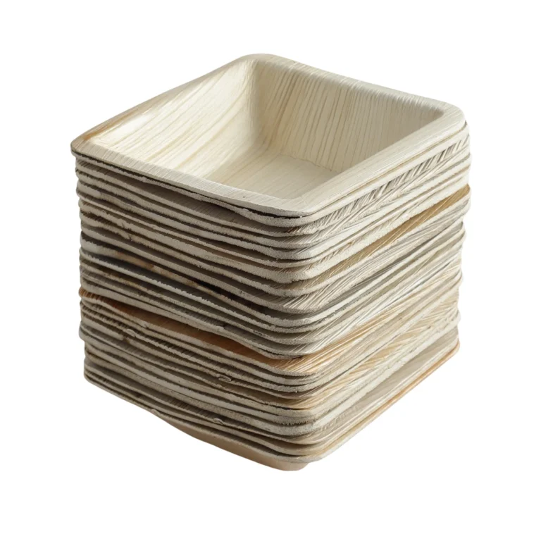Areca leaf bowl