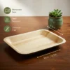 6″ × 4.5″ Snack Tray (1 Carton / 300 Trays)