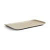 15.5″ × 10″ Large Serving Tray (1 Carton / 60 Trays)