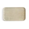 15.5″ × 10″ Large Serving Tray (1 Carton / 60 Trays)
