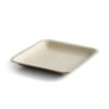 5″ Square Snack Plate (1 Carton / 300 Plates)