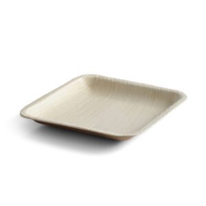 5″ Square Snack Plate (1 Carton / 300 Plates)