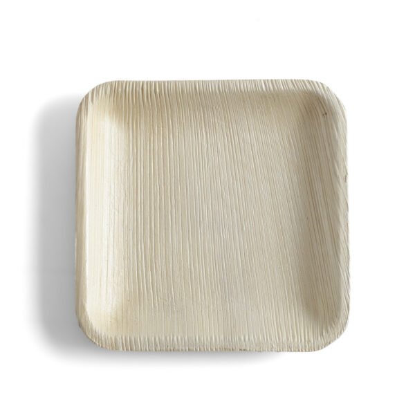 5″ Square Snack Plate (1 Carton / 300 Plates)