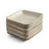 5″ Square Snack Plate (1 Carton / 300 Plates)