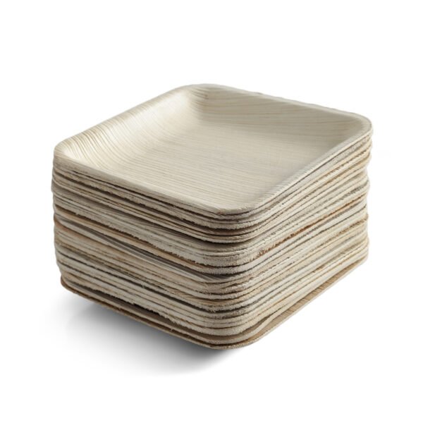 5″ Square Snack Plate (1 Carton / 300 Plates)