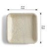 5″ Square Snack Plate (1 Carton / 300 Plates)