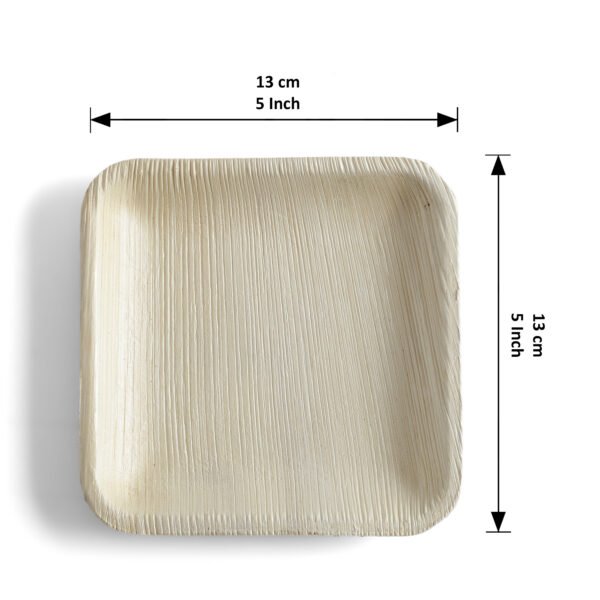5″ Square Snack Plate (1 Carton / 300 Plates)