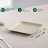 5″ Square Snack Plate (1 Carton / 300 Plates)
