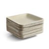6″ Square Starter Plate (1 Carton / 300 Plates)
