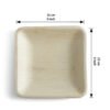 6″ Square Starter Plate (1 Carton / 300 Plates)