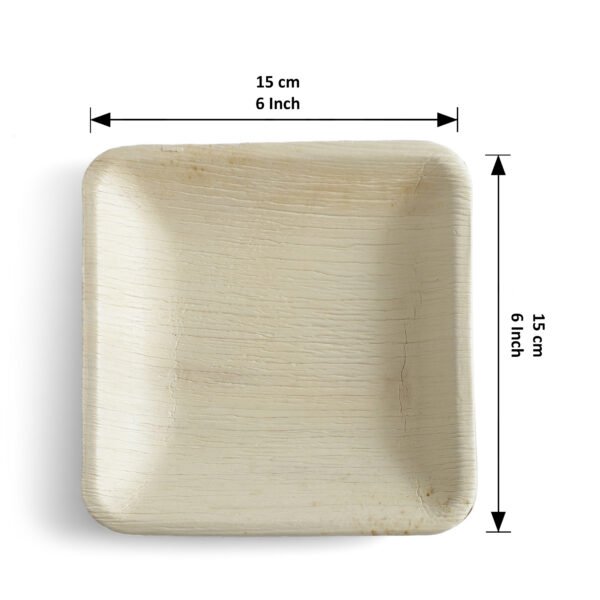 6″ Square Starter Plate (1 Carton / 300 Plates)