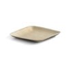 8″ Square Serving Plate (1 Carton / 300 Plates)