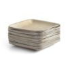 8″ Square Serving Plate (1 Carton / 300 Plates)