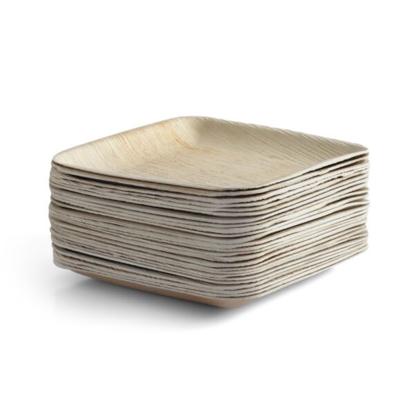 8″ Square Serving Plate (1 Carton / 300 Plates)