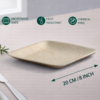 8″ Square Serving Plate (1 Carton / 300 Plates)
