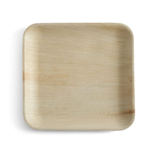 9″ Square Dinner Plate (1 Carton / 300 Plates)