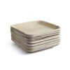 9″ Square Dinner Plate (1 Carton / 300 Plates)