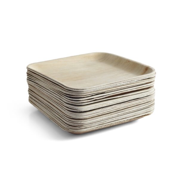 9″ Square Dinner Plate (1 Carton / 300 Plates)