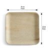 9″ Square Dinner Plate (1 Carton / 300 Plates)