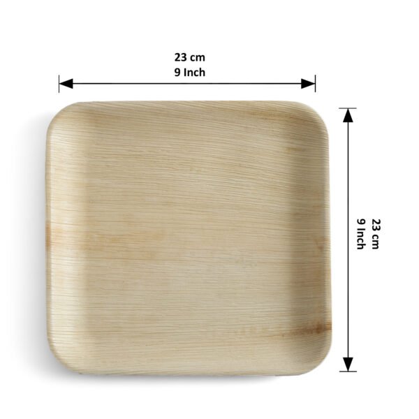 9″ Square Dinner Plate (1 Carton / 300 Plates)
