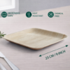 9″ Square Dinner Plate (1 Carton / 300 Plates)
